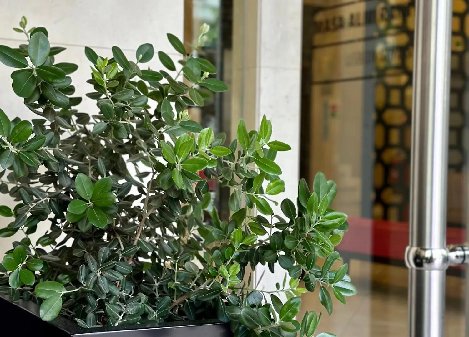 The Hotel Masa Almirante Lisbon Stylish 3*,